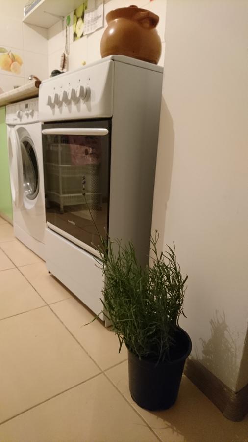 Comfortable Apartment On The River Bank Київ Екстер'єр фото